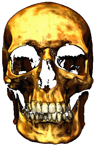 The Golden Skull